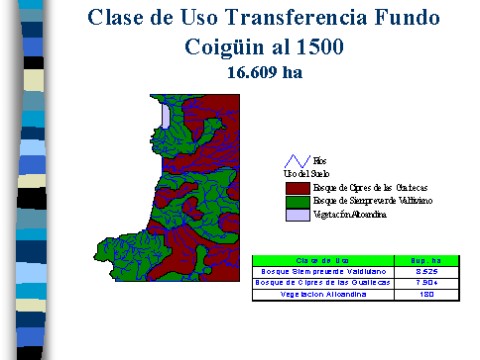 v3_t3_willich_de_chiloe03.jpg