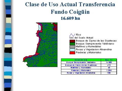 v3_t3_willich_de_chiloe04.jpg