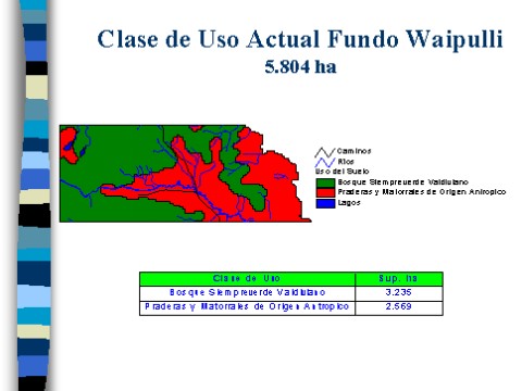 v3_t3_willich_de_chiloe10.jpg