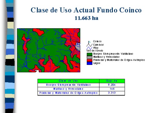 v3_t3_willich_de_chiloe13.jpg