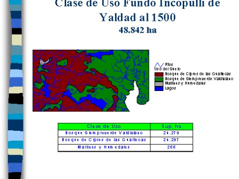 v3_t3_willich_de_chiloe14.jpg