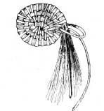 plateriayviviendaaraucana45.jpg